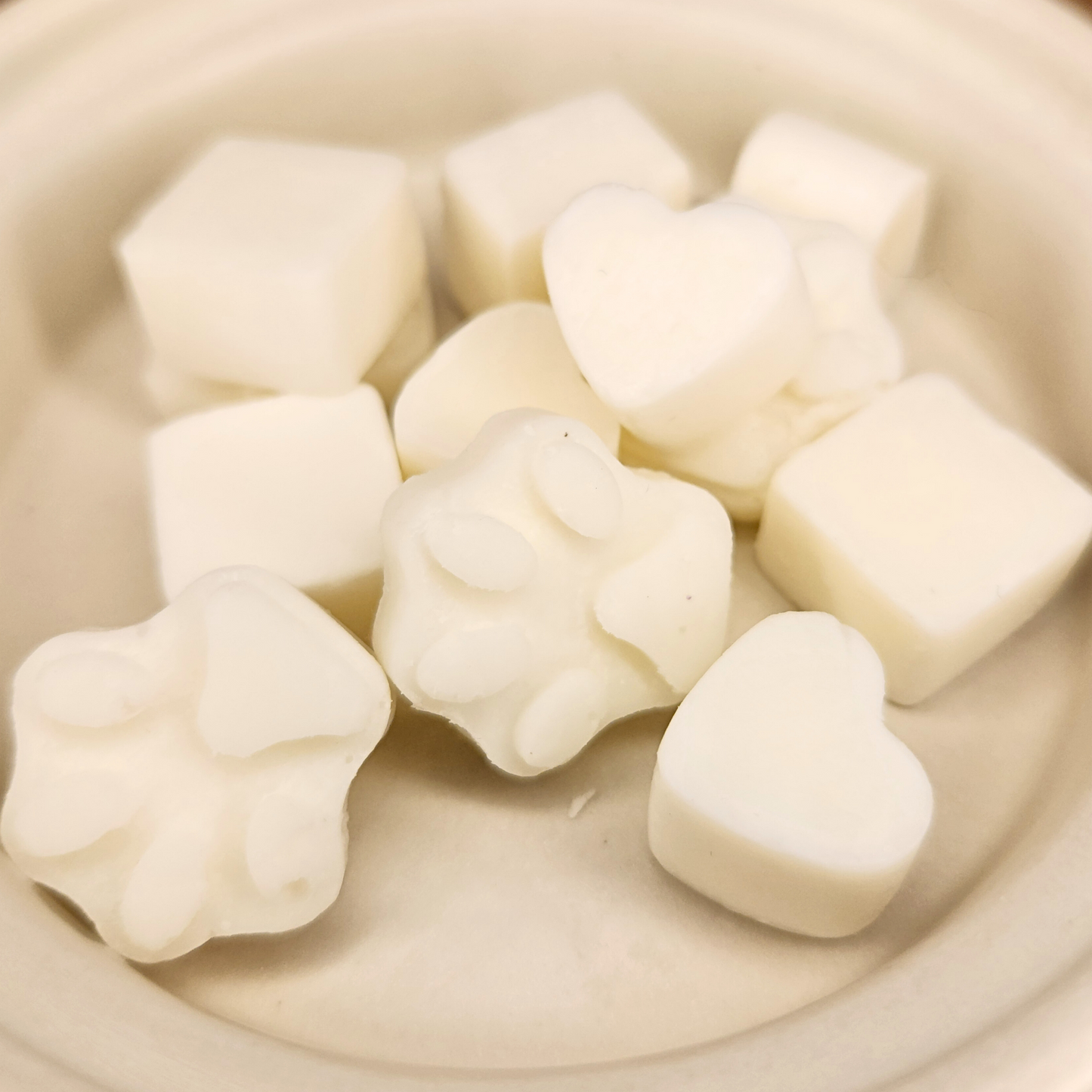 Mini Melts- Caribbean Teakwood 2.5 oz Coconut Soy